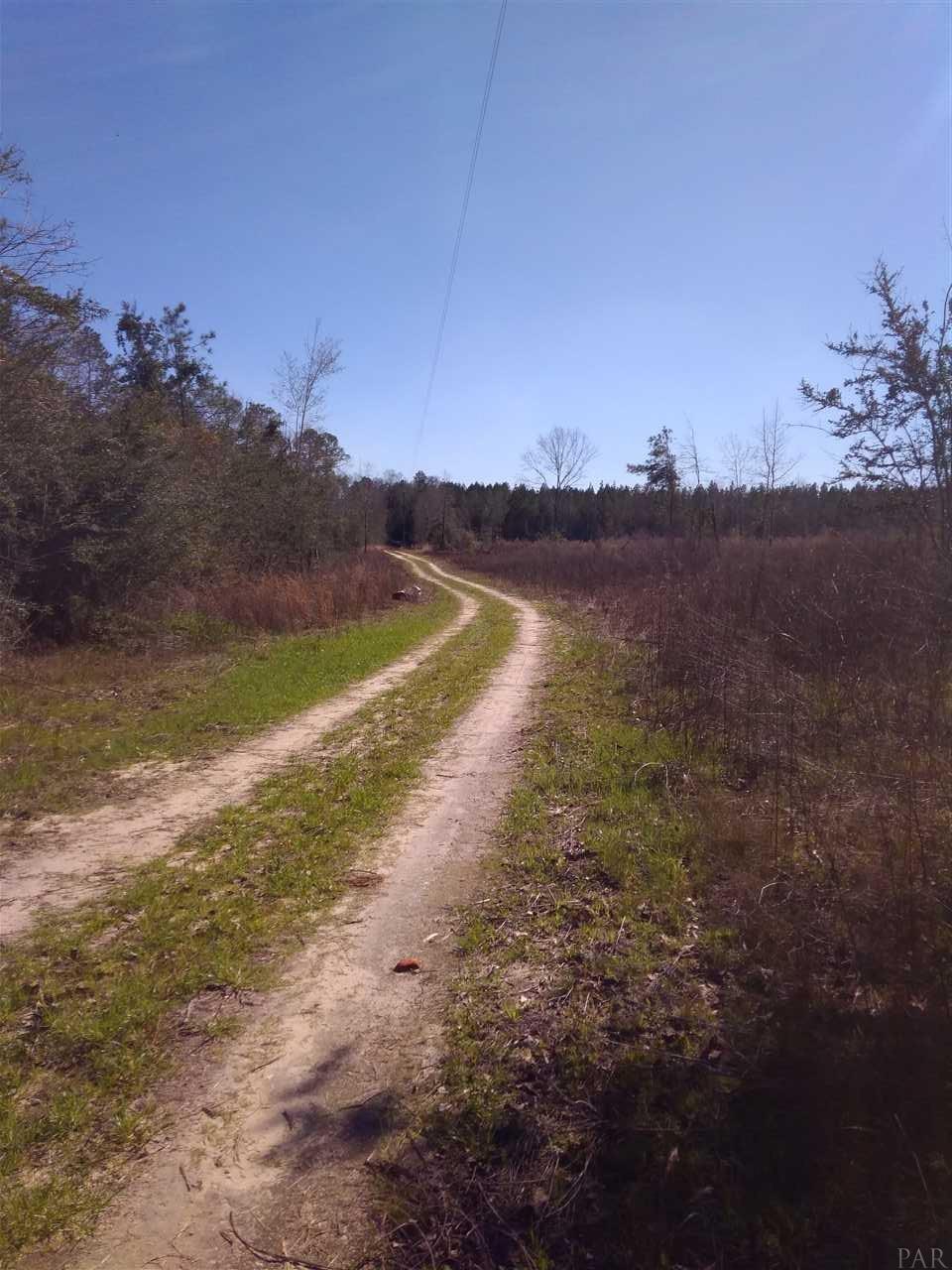 3161 Wallace Road Brewton, AL 36426 - Photo 4 of 6