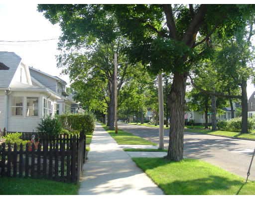 119 Farnsworth Street Springfield, MA 01107 - Photo 5 of 23 a front view of a house with garden and trees