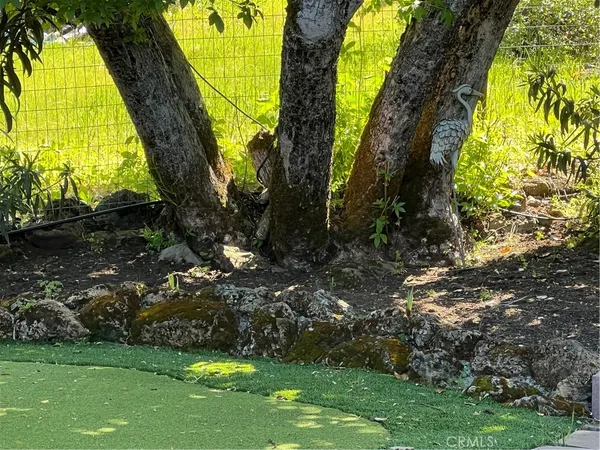 a living room with stainless steel appliances kitchen island granite countertop furniture and a rug