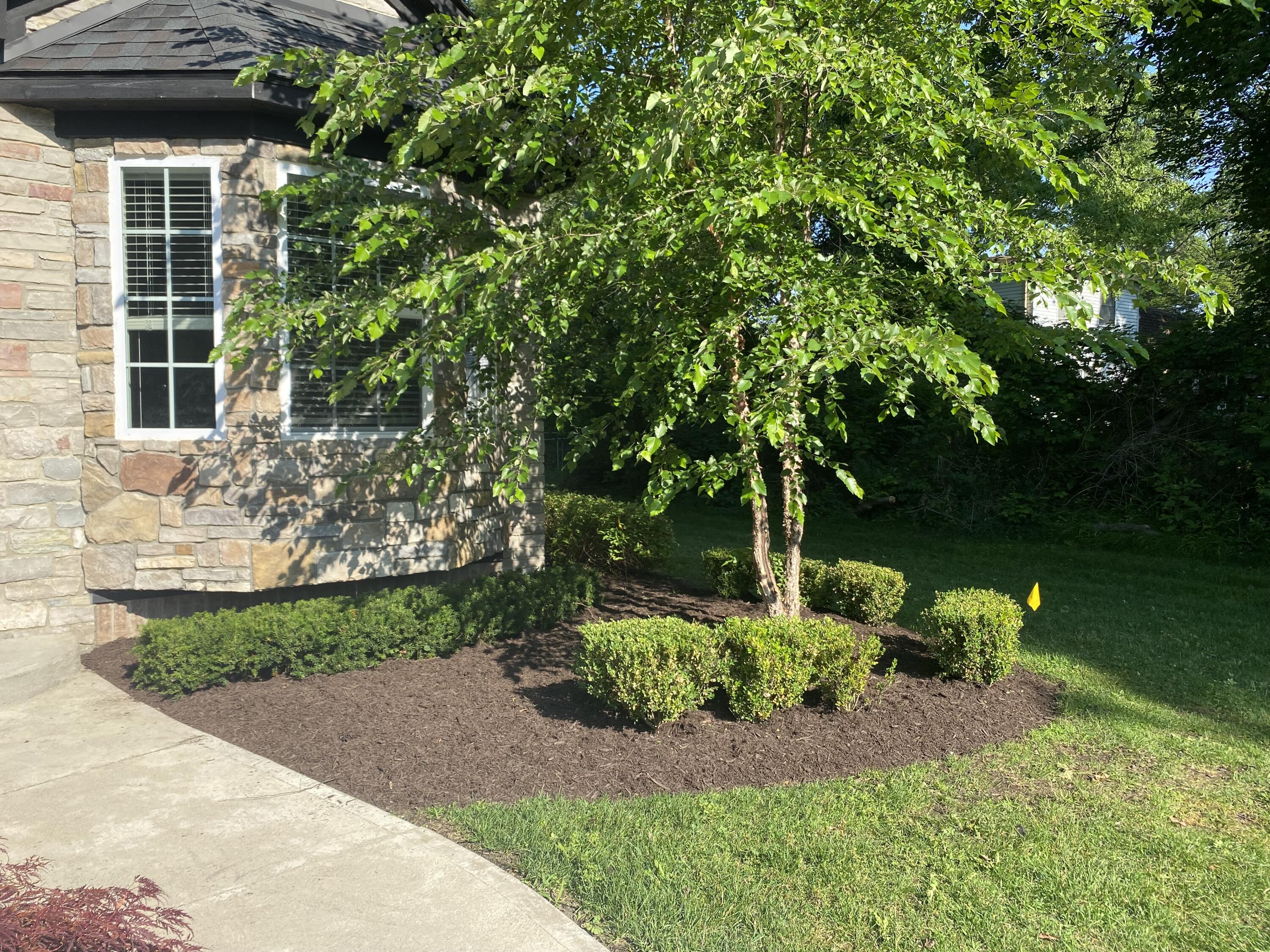 9915 Wayne Road Livonia, MI 48150 - Photo 3 of 38 IMG_2704