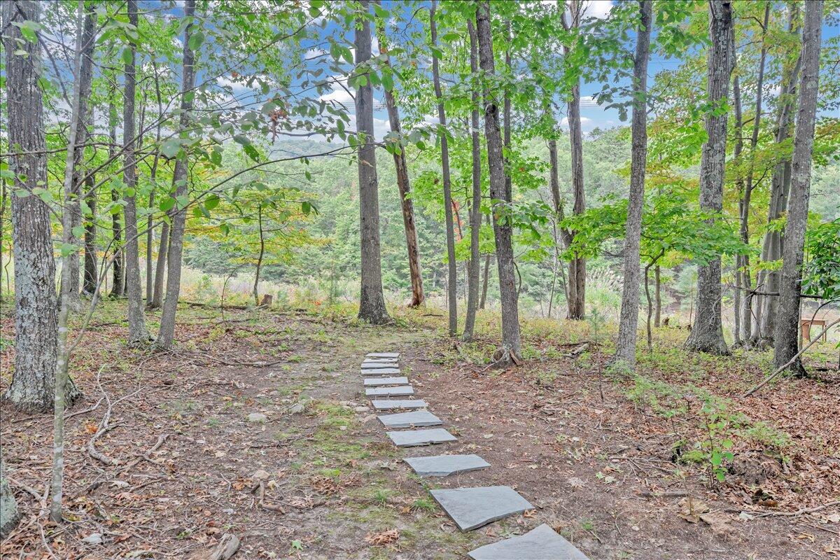 1109 4th Street Blue Ridge, VA 24064 - Photo 94 of 112 094-MIB04875