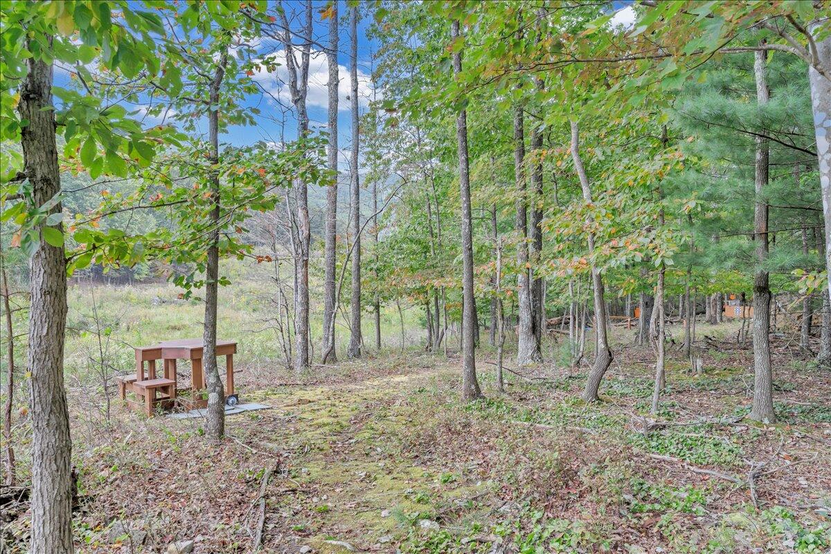 1109 4th Street Blue Ridge, VA 24064 - Photo 95 of 112 095-MIB04878