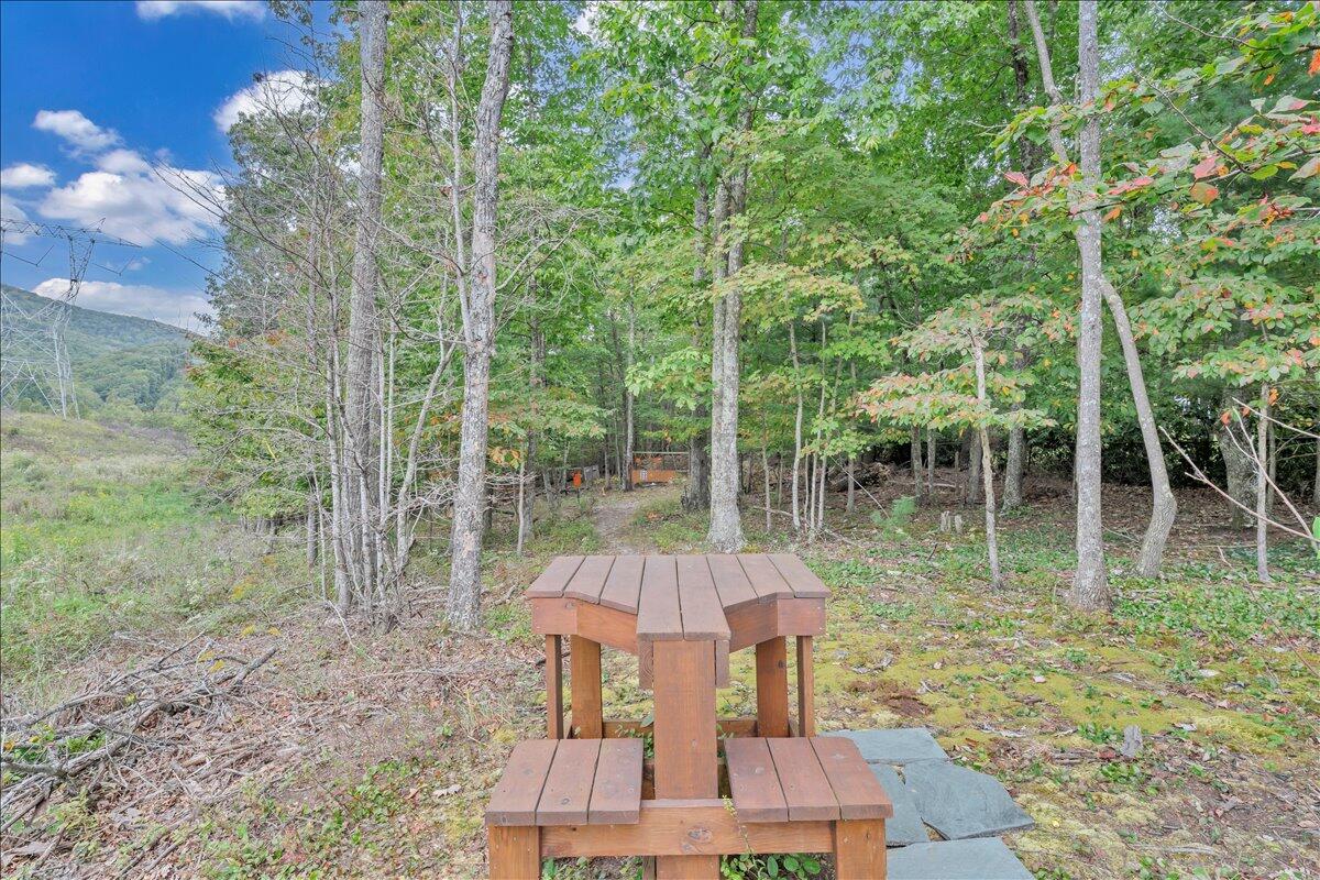 1109 4th Street Blue Ridge, VA 24064 - Photo 96 of 112 096-MIB04881