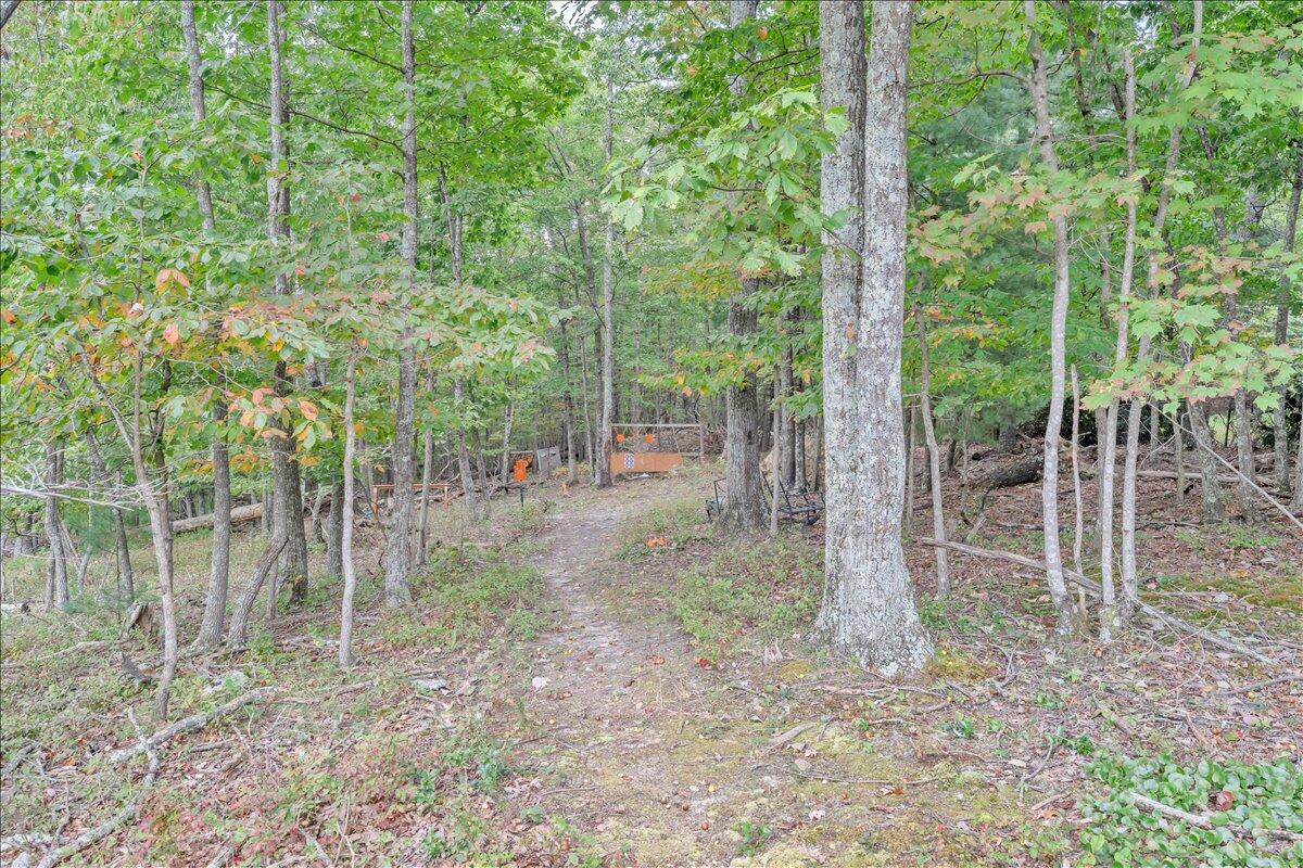 1109 4th Street Blue Ridge, VA 24064 - Photo 97 of 112 097-MIB04884