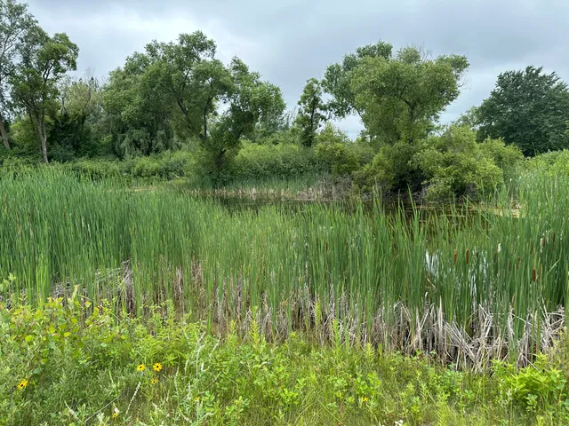 $65,000 | 10 Parcel Comfort Drive, Hart, MI 49420