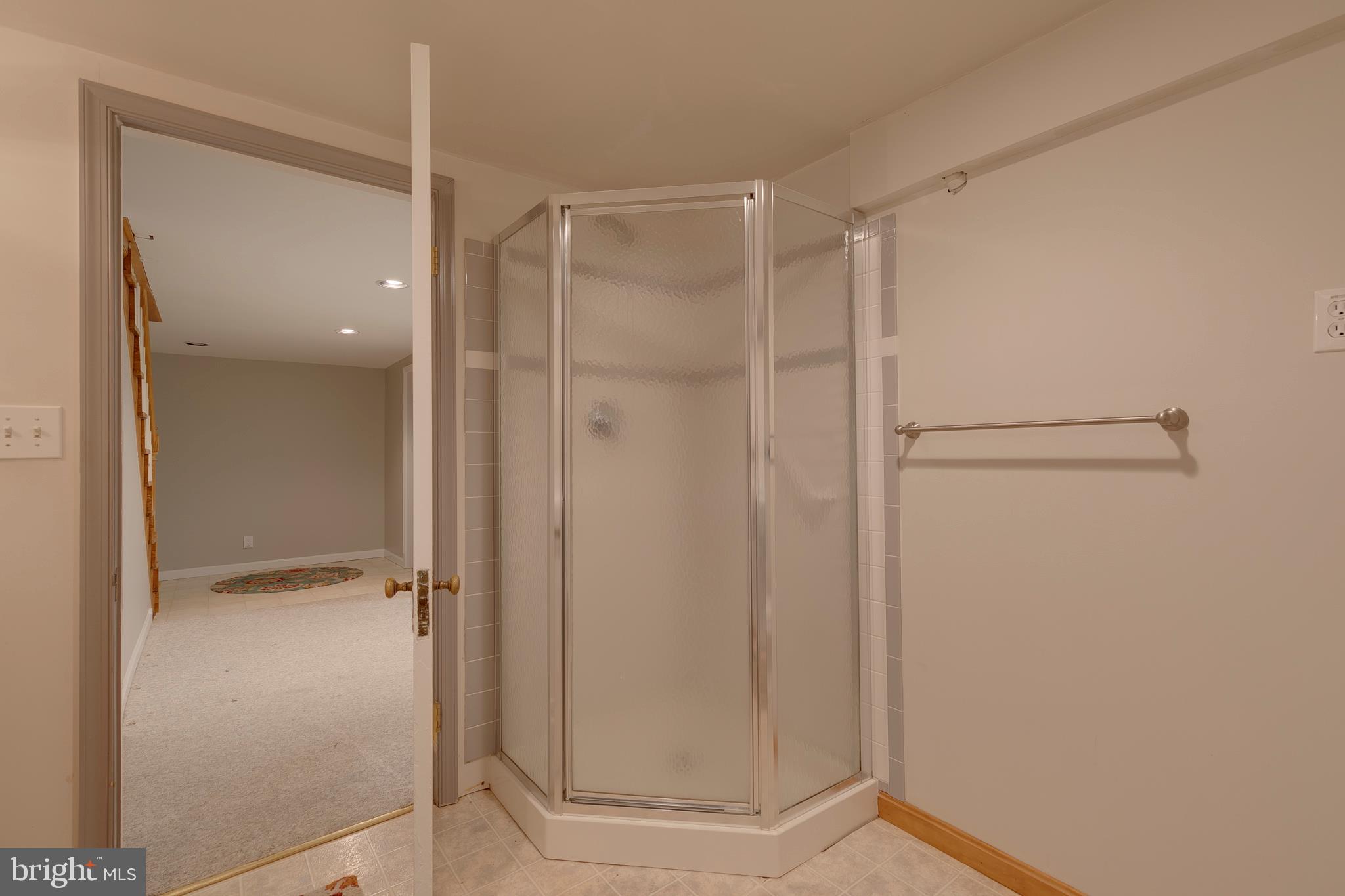 310 Murdock Road Baltimore, MD 21212 - Photo 42 of 50 Full BA- Lower Level