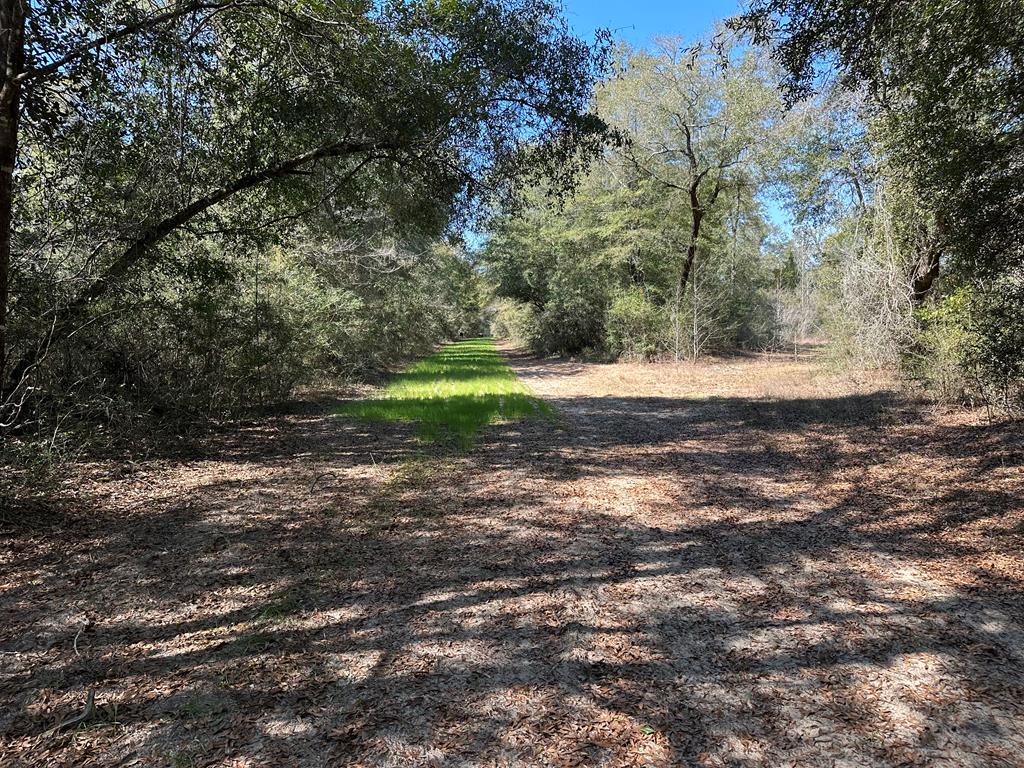 Undisclosed Address Ariton, AL 36311 - Photo 14 of 17