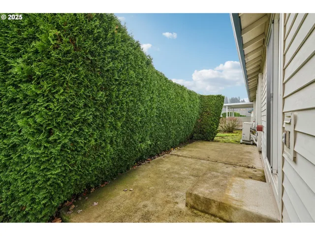 a view of a backyard