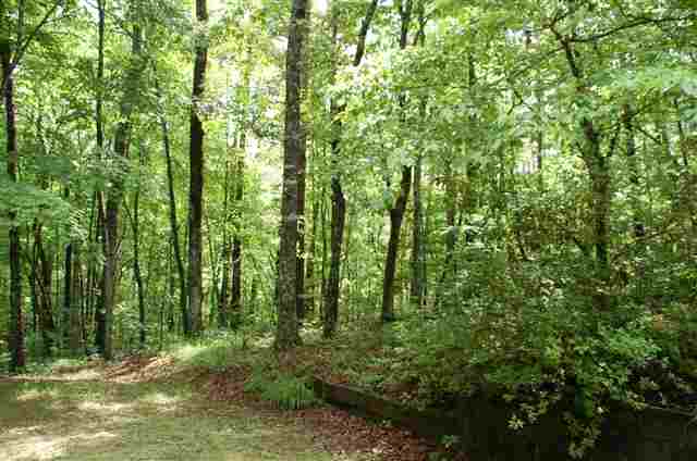 465 Walnut Tree Road Mountain Rest, SC 29664 - Photo 8 of 23 Gallery Image 8