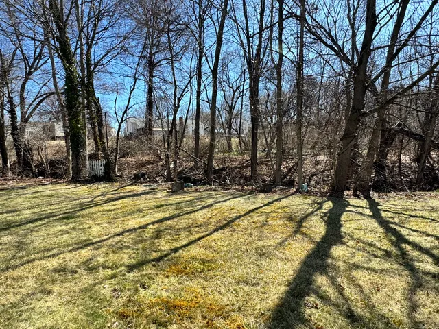 a view of a yard with trees
