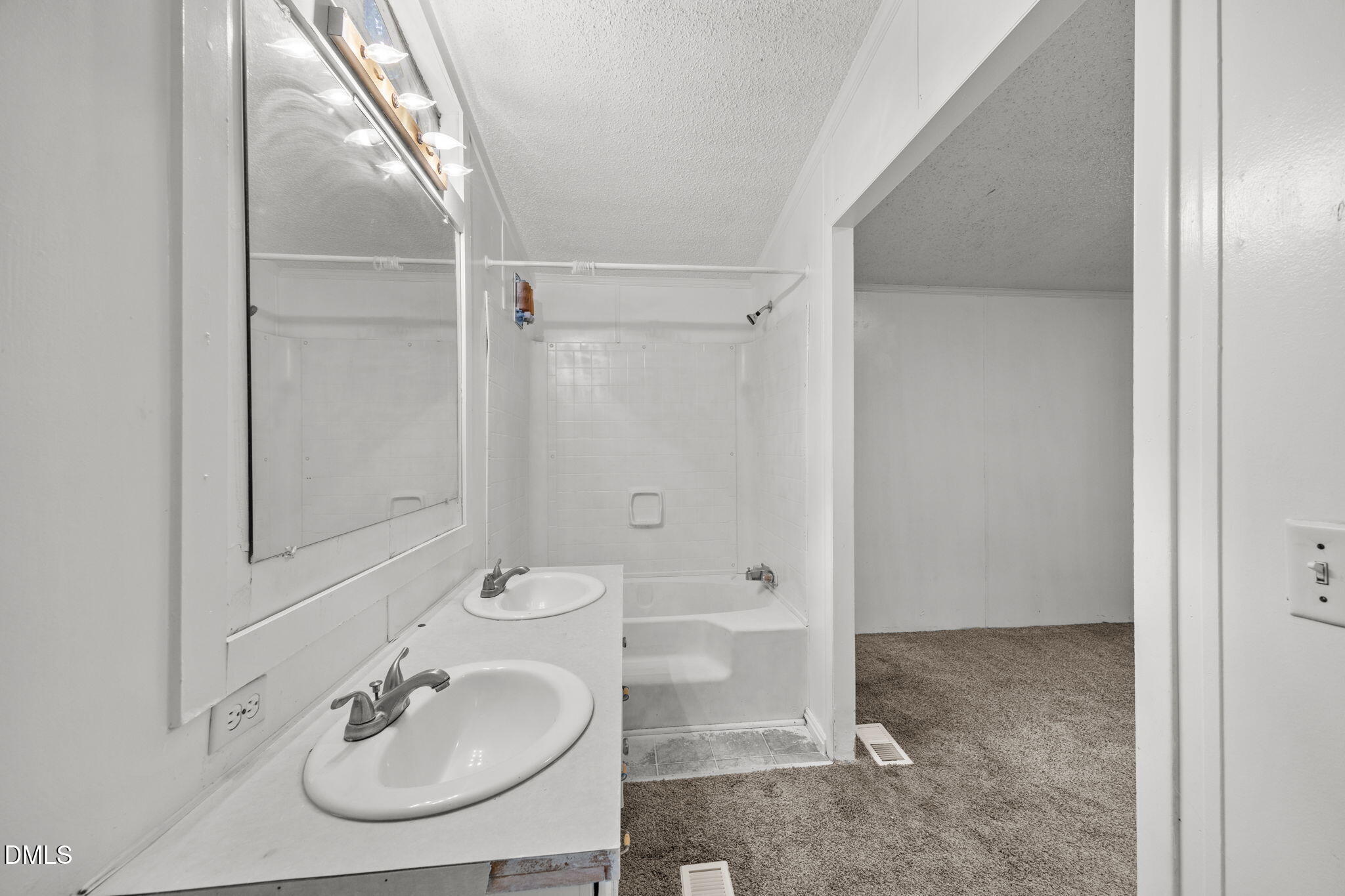 6933 Big Woods Road Graham, NC 27253 - Photo 19 of 32 a bathroom with a sink a toilet and shower