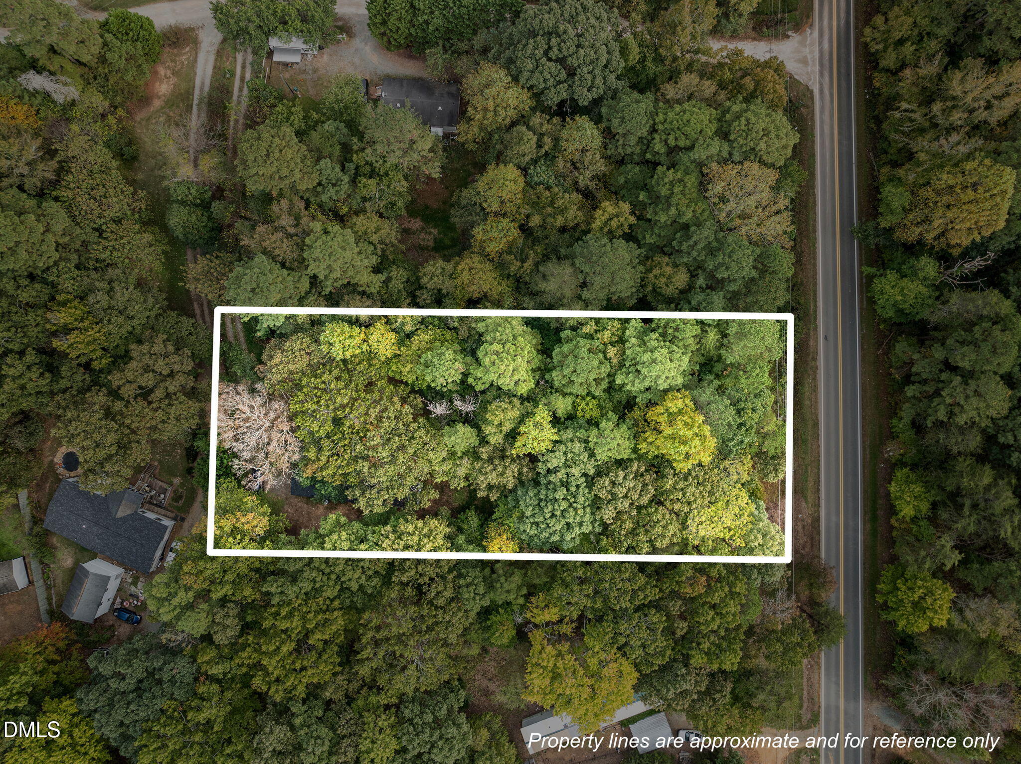 6933 Big Woods Road Graham, NC 27253 - Photo 25 of 32 a view of a forest
