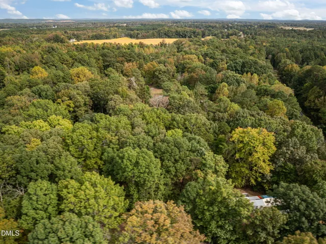 a view of a field with a lush green forest