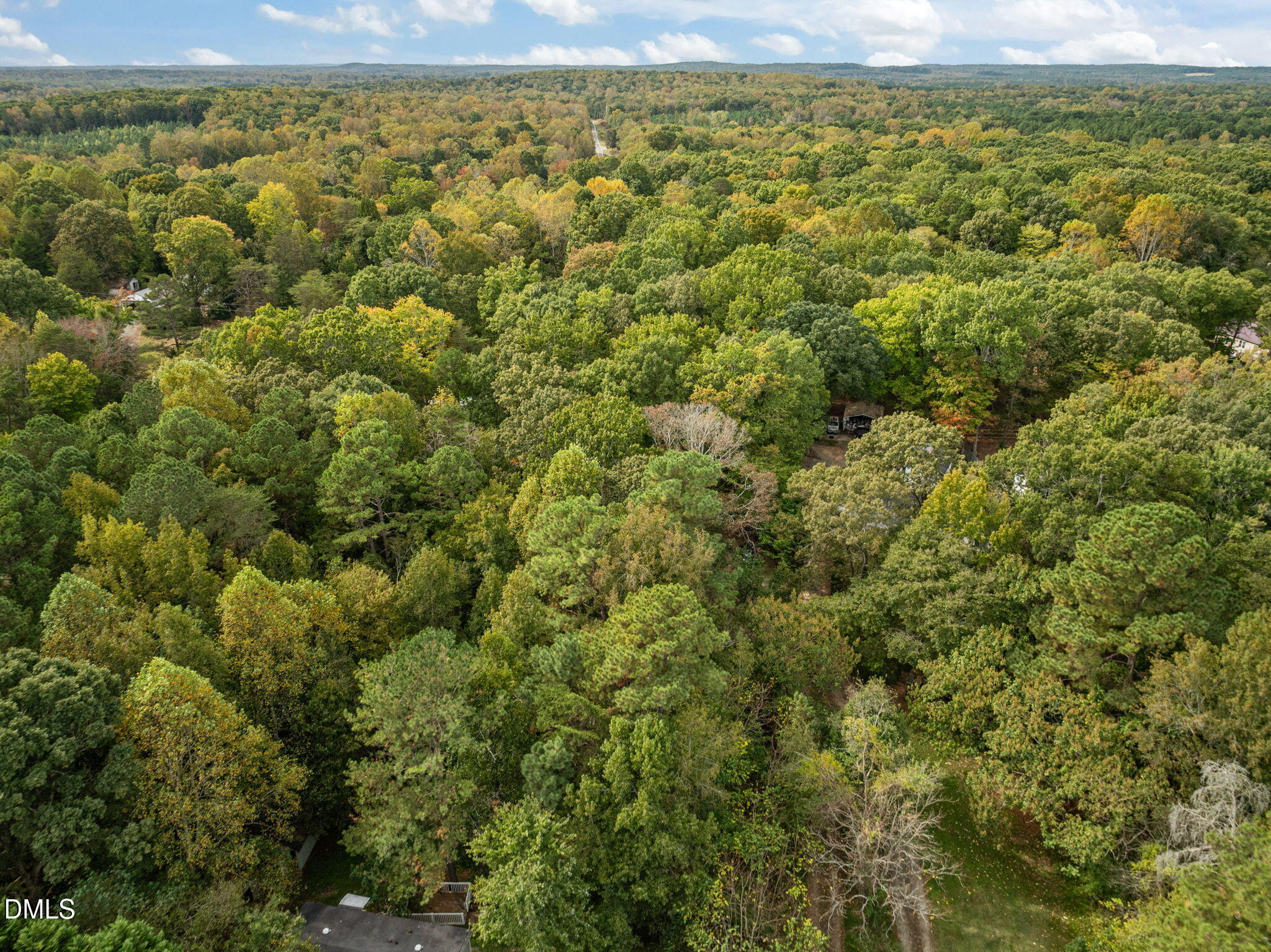 6933 Big Woods Road Graham, NC 27253 - Photo 32 of 32 a view of a field with a lush green forest