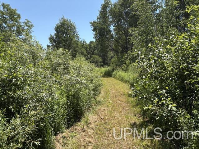 156 Sordahl Road Wakefield, MI 49968 - Photo 9 of 9