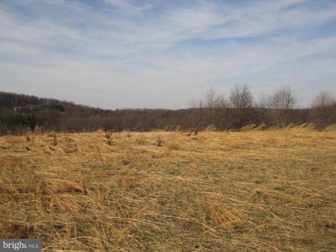 14404 Peddicord Road Mount Airy, MD 21771 - Photo 6 of 13 a view of lake