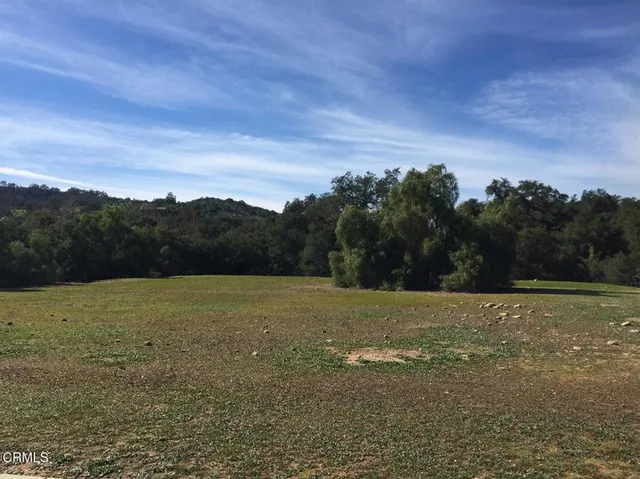a view of a field with an ocean