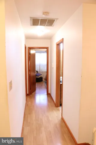 a view of a yard with plants and trees