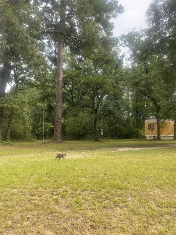 a view of a large swimming pool and outdoor space