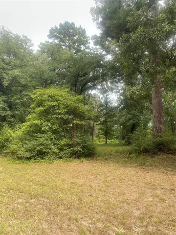 a view of outdoor space and trees
