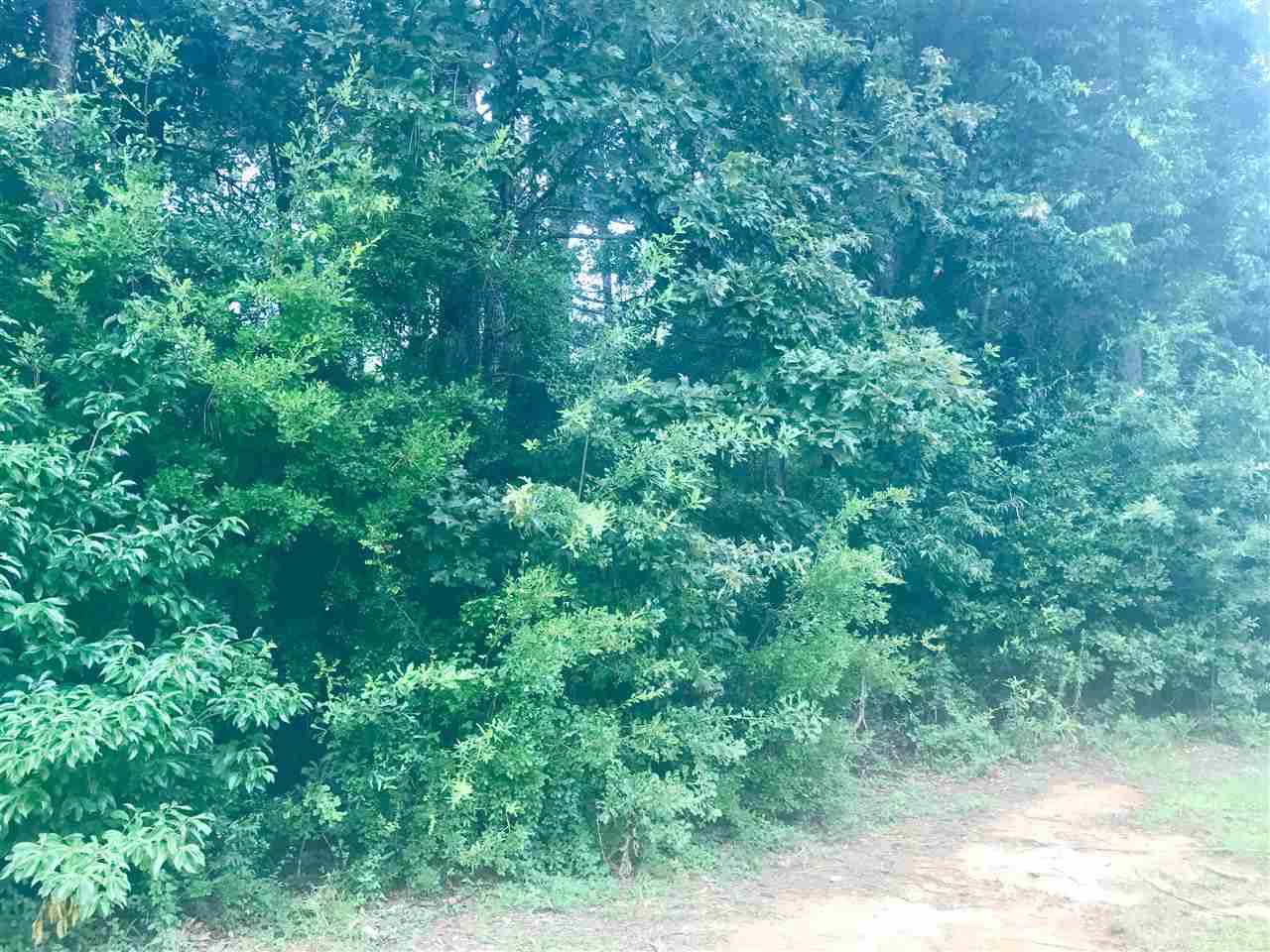 124 Meadow Wood Loop Daphne, AL 36526 - Photo 2 of 4