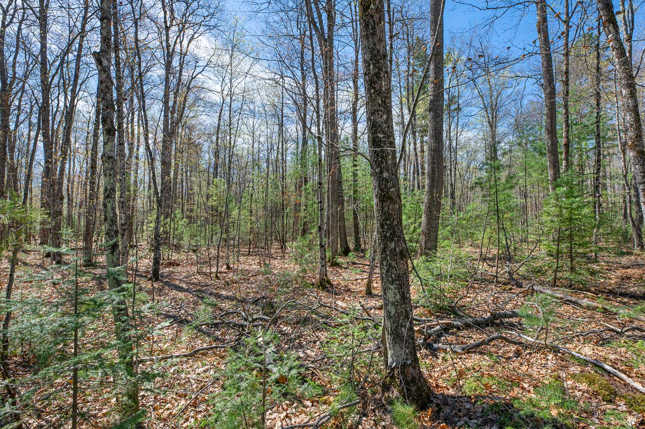 Lot 3 Twin Hill Road Conover, WI 54519 - Photo 2 of 2 Gallery Image 2