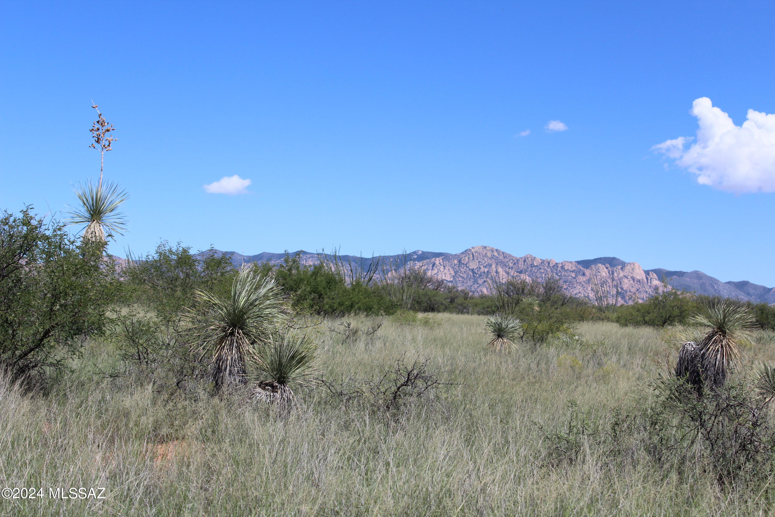 Tbd East Naiche Road, Unit 56 St. David, AZ 85630 - Photo 3 of 17