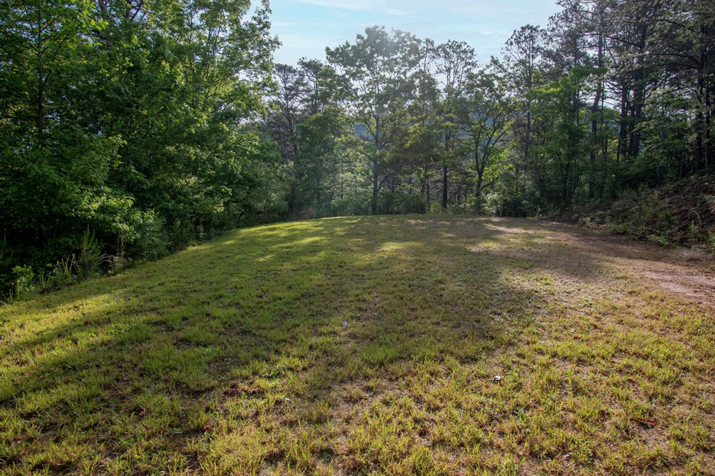 36 Mountain Top Road Marble, NC 28905 - Photo 5 of 8