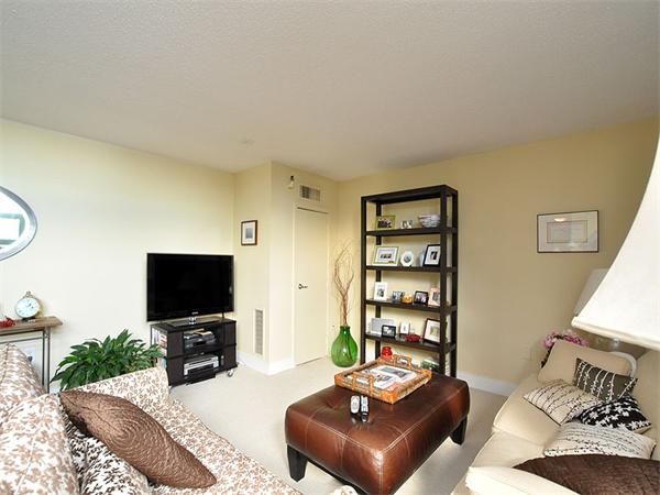 42 8th Street, Unit 5308 Boston, MA 02129 - Photo 3 of 12 a living room with furniture a flat screen tv and a window