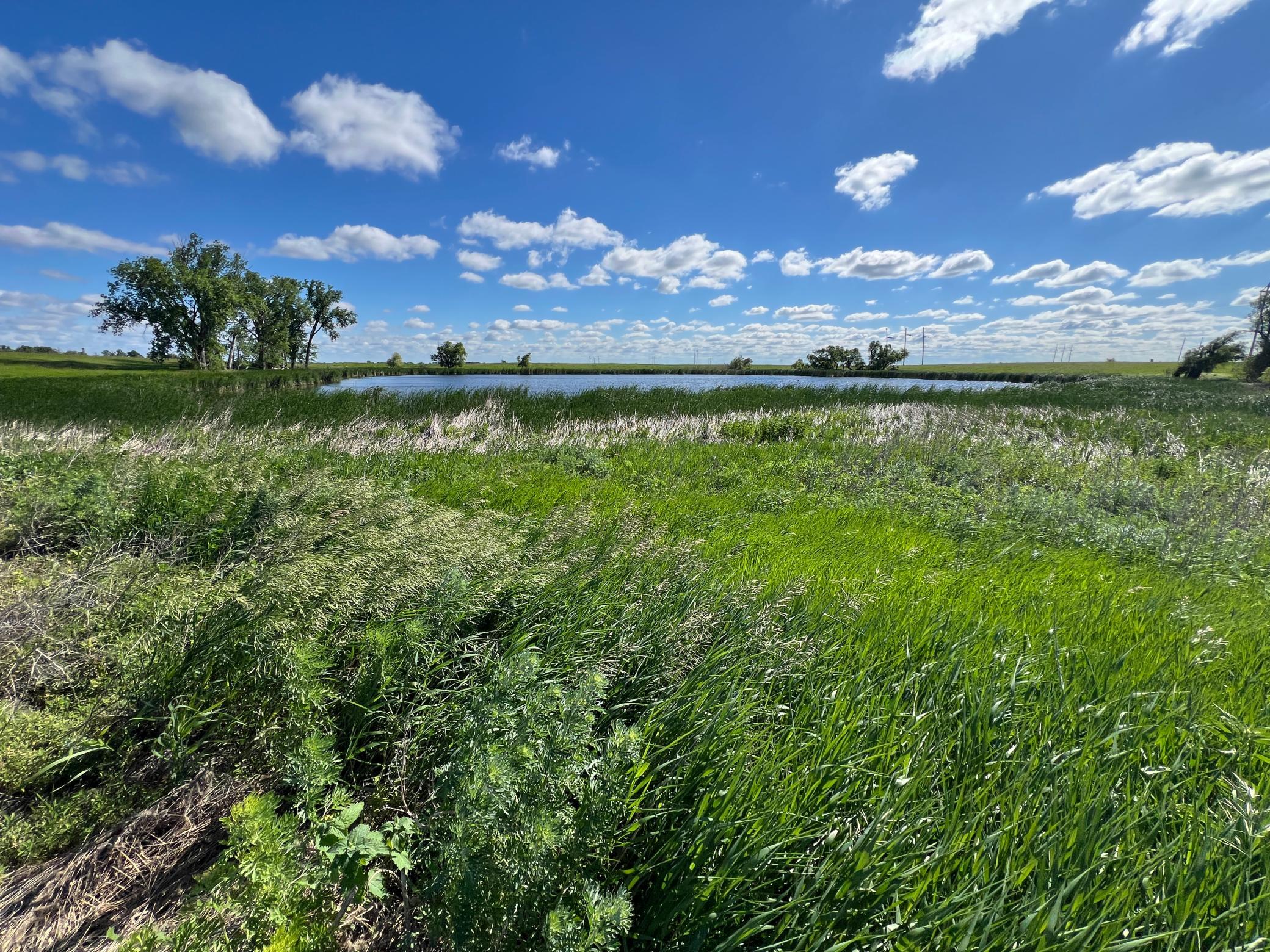 Tbd Southeast Tbd Se 90th Street Rutland, ND 58067 - Photo 83 of 105