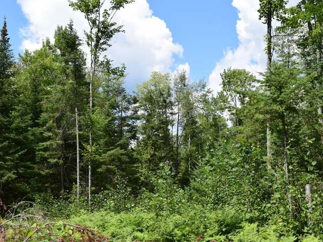 3816 Tre Fiske Road Rhinelander, WI 54501 - Photo 9 of 19 Gallery Image 9
