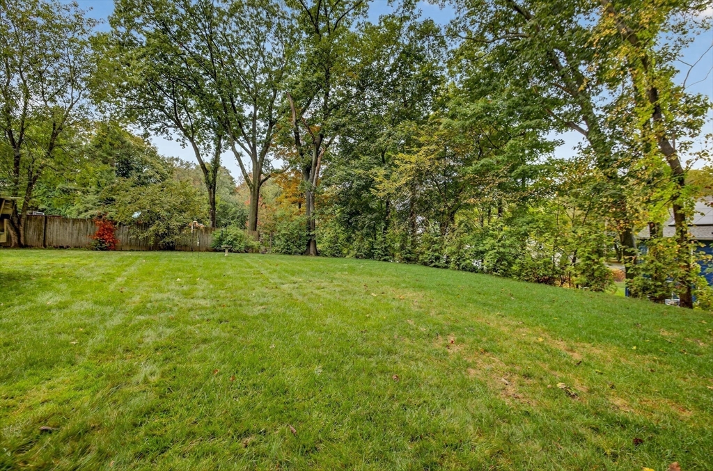 14 Ferndale Road Natick, MA 01760 - Photo 4 of 33 a view of a field with large trees
