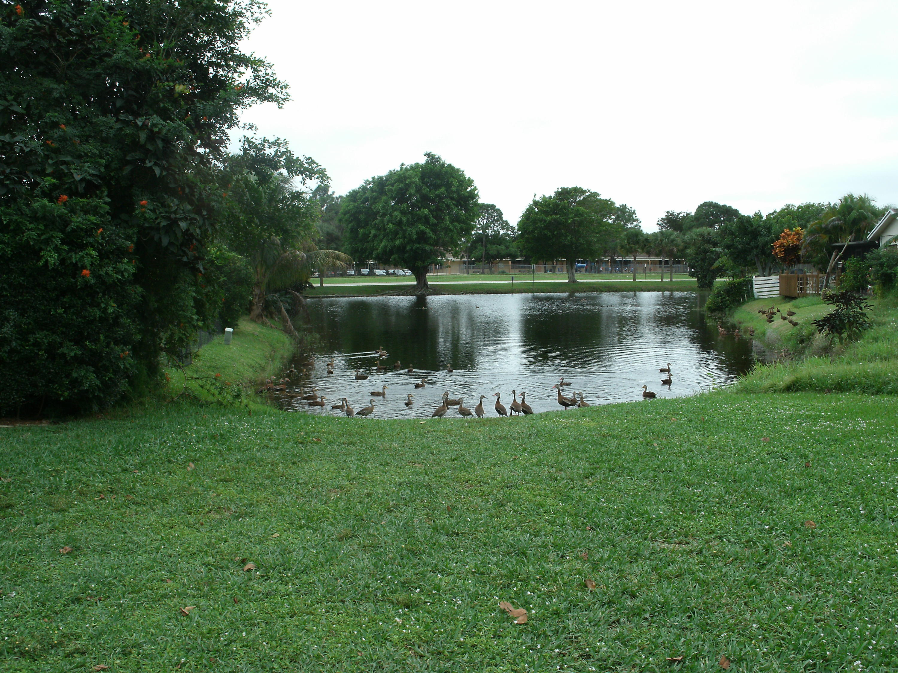 18415 Ruffian Way Boca Raton, FL 33496 - Photo 34 of 37 GEDC0010