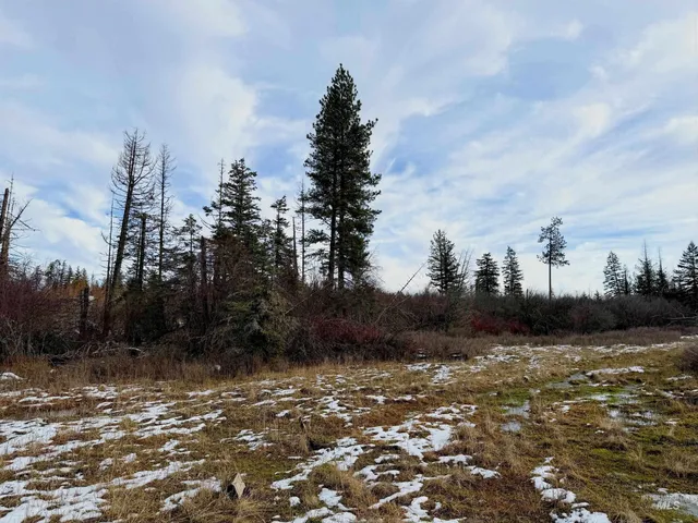 $135,000 | 0 Wildwood Drive, Orofino, ID 83544