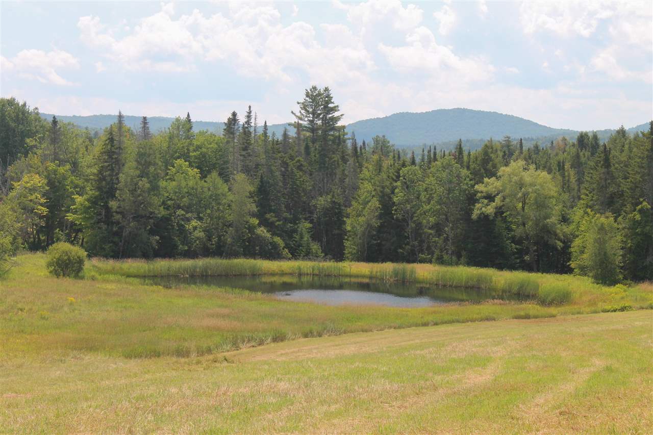 1865 Brook Street Rochester, VT 05767 - Photo 18 of 23
