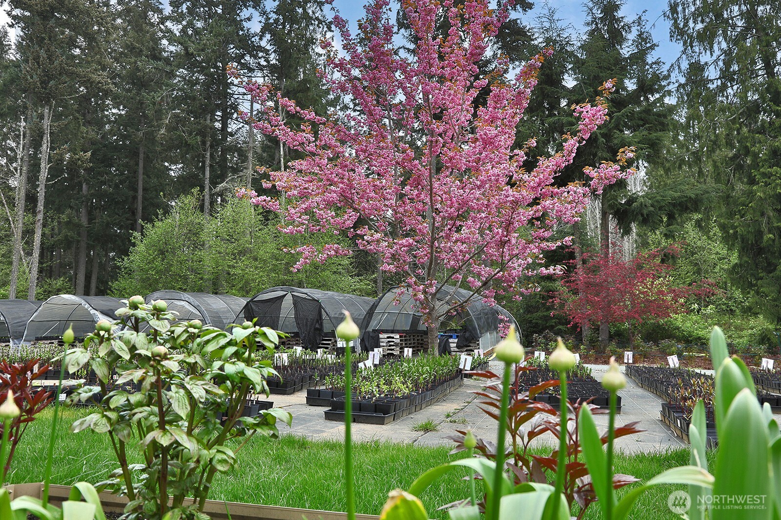6545 Cultus Bay Road Clinton, WA 98236 - Photo 37 of 40