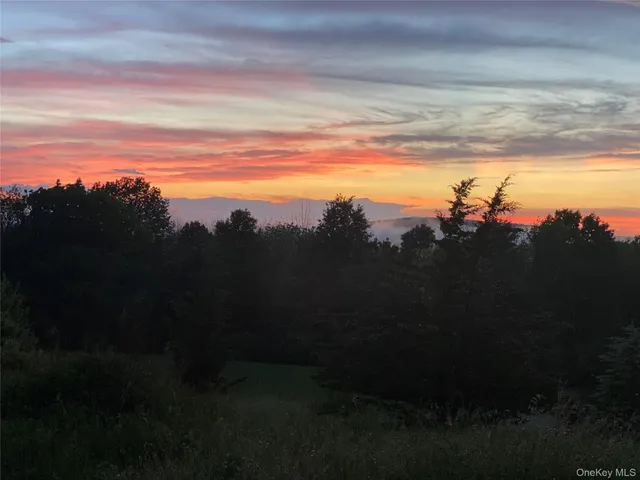 a view of a city with lush green forest