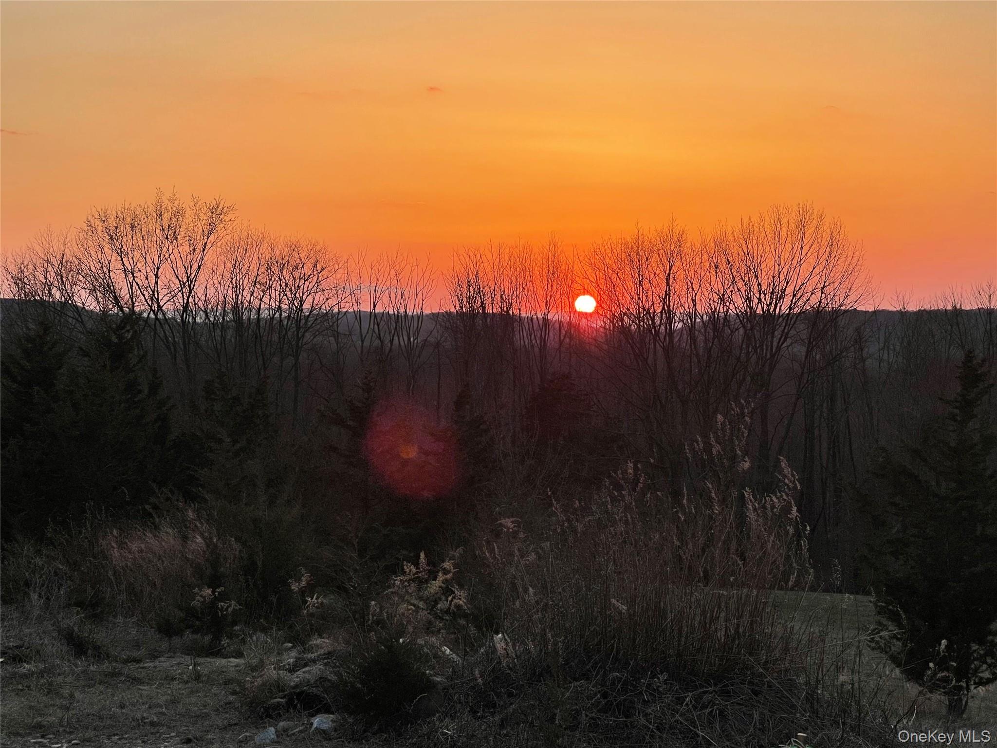 8 Camelback Road Chester, NY 10918 - Photo 10 of 11 a view of a yard