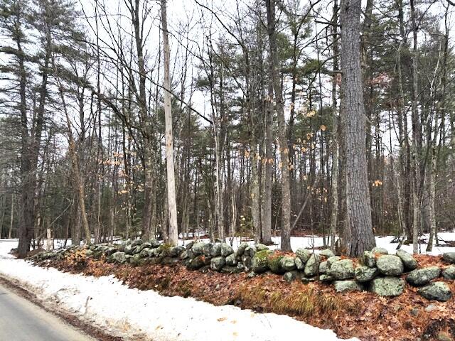 Lot#1 Summit Road Gray, ME 04039 - Photo 3 of 10 IMG_5745