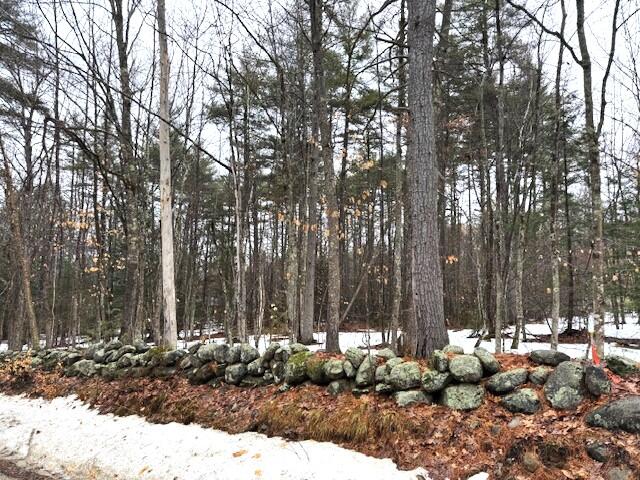 Lot#1 Summit Road Gray, ME 04039 - Photo 9 of 10 IMG_5744 (1)