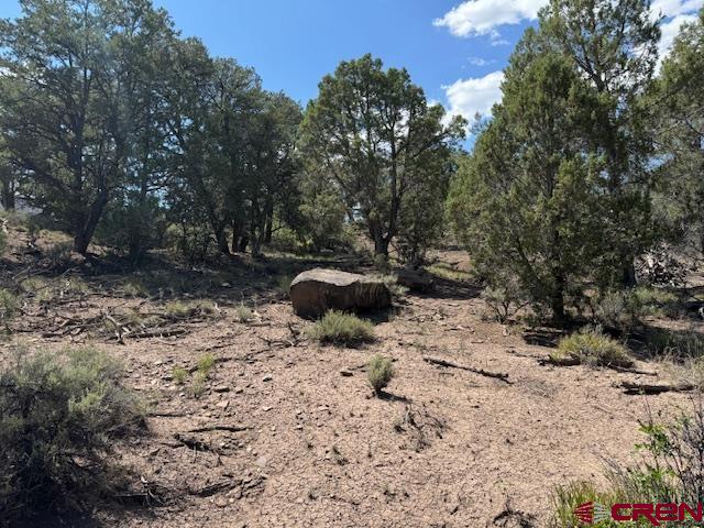 2519 Green Shadows Road Durango, CO 81303 - Photo 14 of 15 a view of backyard with trees and entertaining space