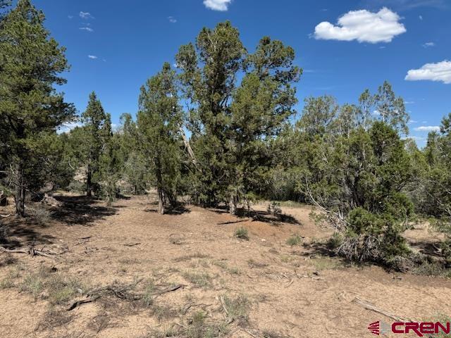 2519 Green Shadows Road Durango, CO 81303 - Photo 15 of 15 a view of a yard with a tree