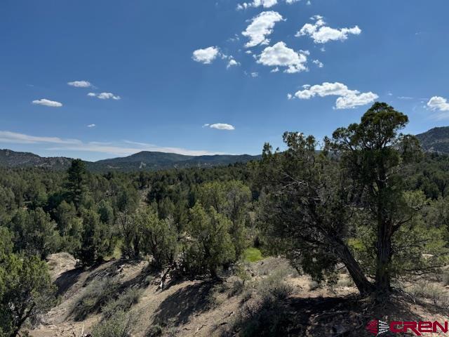 2519 Green Shadows Road Durango, CO 81303 - Photo 3 of 15 a view of a city with lots of tress