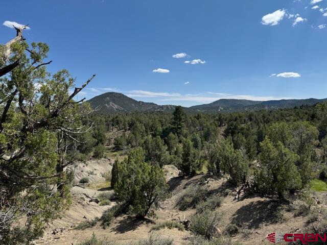 2519 Green Shadows Road Durango, CO 81303 - Photo 4 of 15 a view of a city