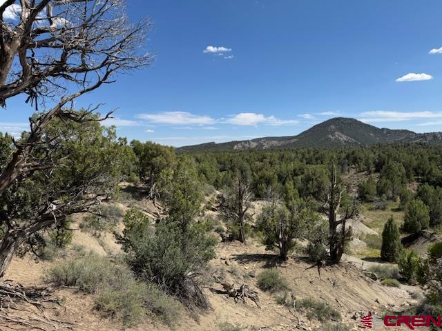 2519 Green Shadows Road Durango, CO 81303 - Photo 5 of 15 a view of a yard with mountains in the background