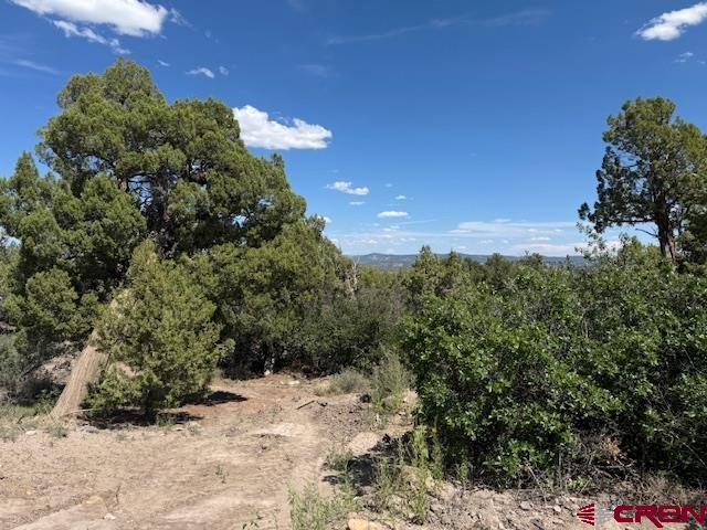 2519 Green Shadows Road Durango, CO 81303 - Photo 7 of 15 a view of a dry yard with lots of green space