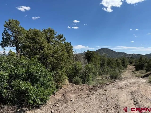 a view of a dry yard with mountains in the background