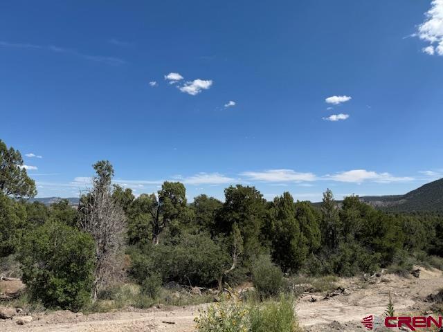 2519 Green Shadows Road Durango, CO 81303 - Photo 10 of 15 a view of a city