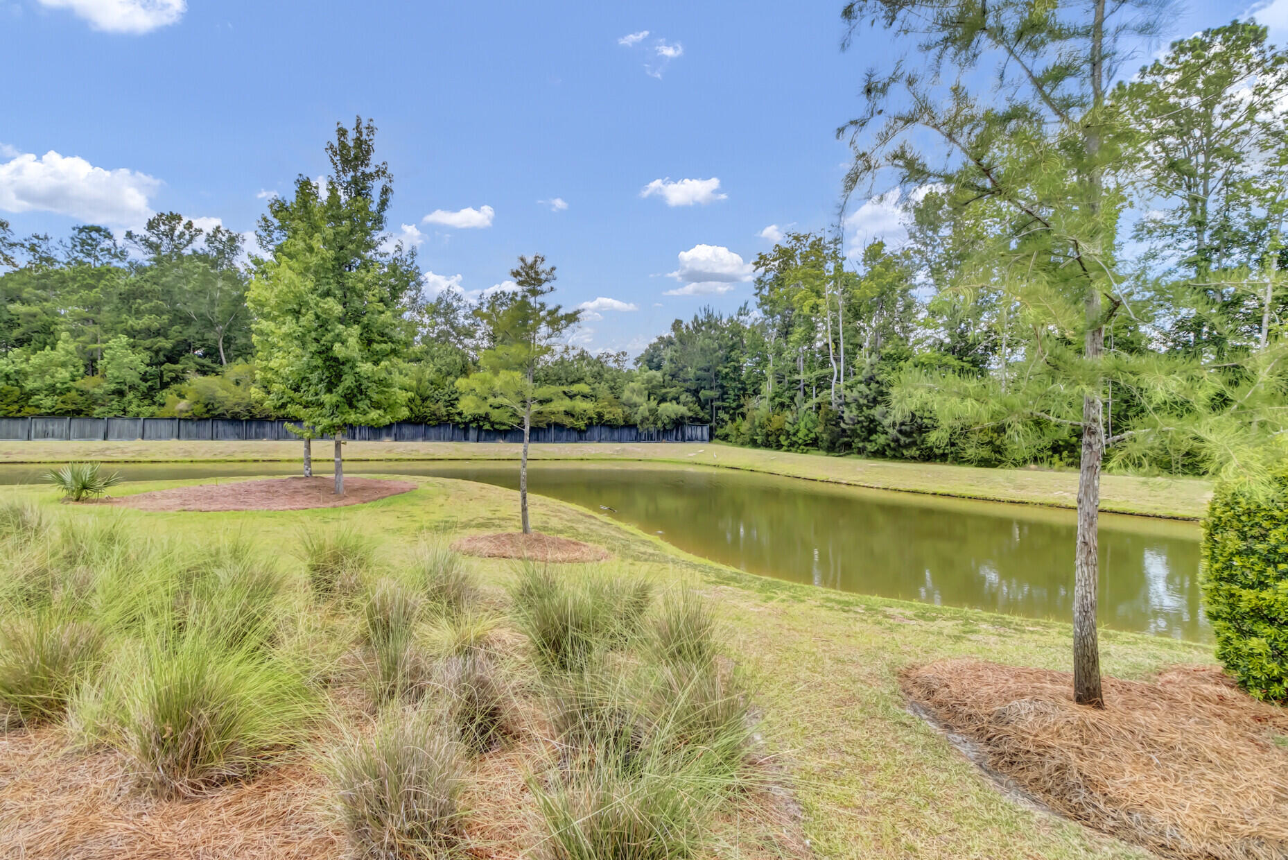 3091 Sturbridge Road Mount Pleasant, SC 29466 - Photo 44 of 67 07_IMG_3293_mls