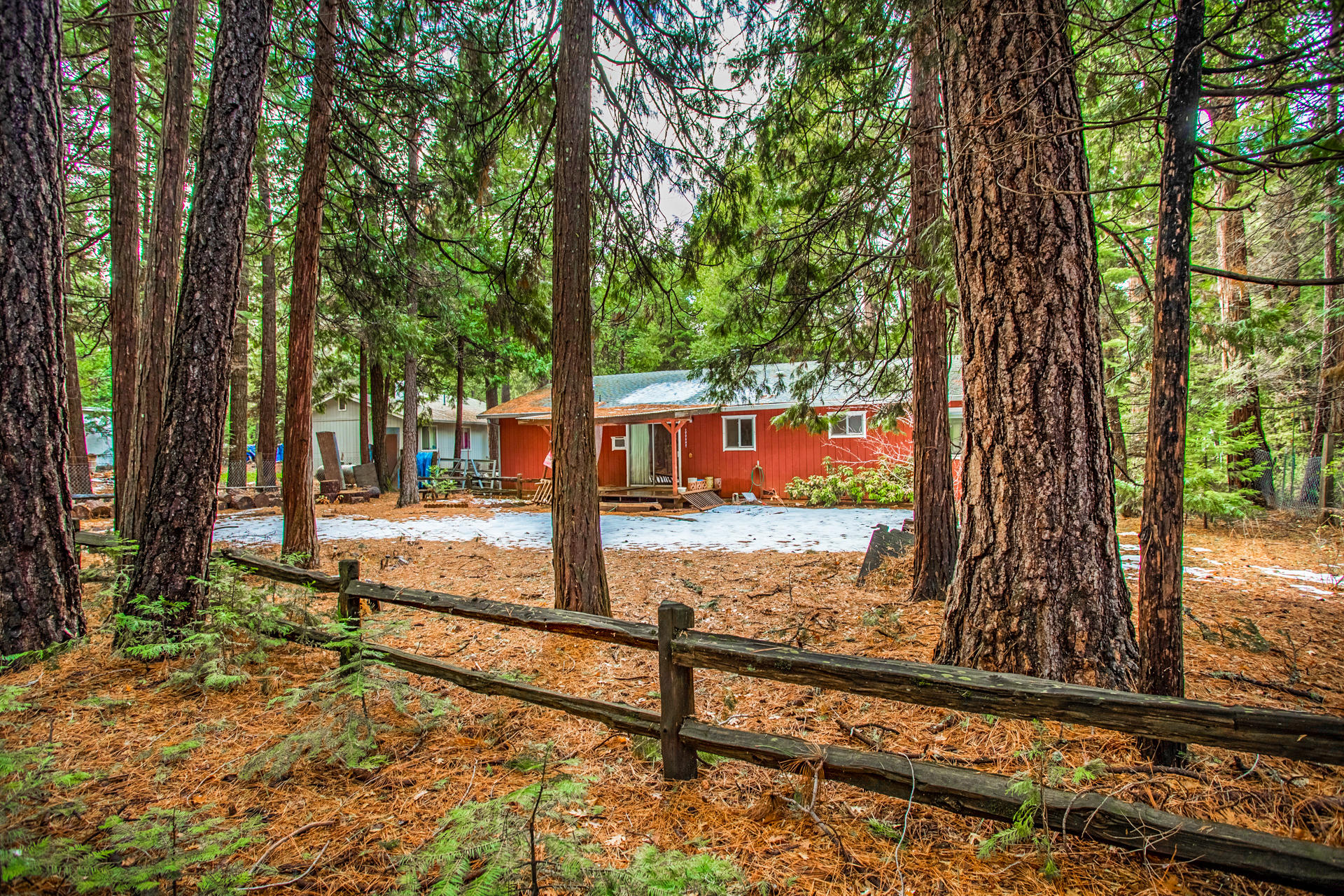 8404 Starlite Pines Road Shingletown, CA 96088 - Photo 2 of 20 78 Backyard